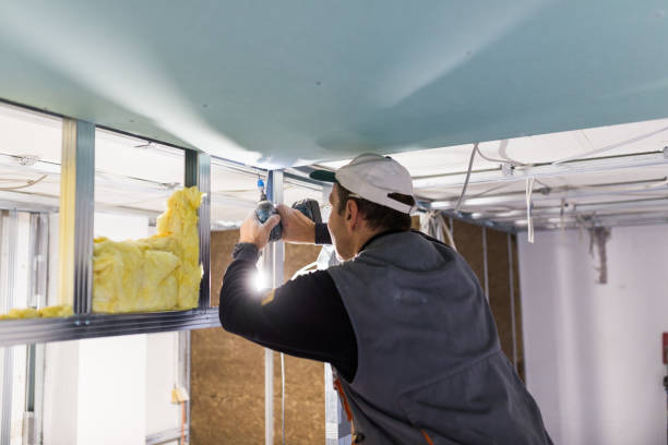 Best Eco-Friendly Insulation in Ho Ho Kus, NJ